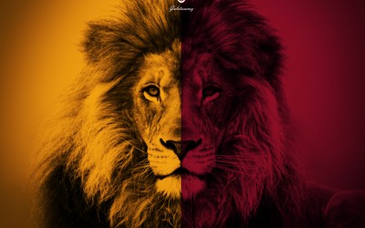 冠竞体育独家-伊萨克突破后搓射得分