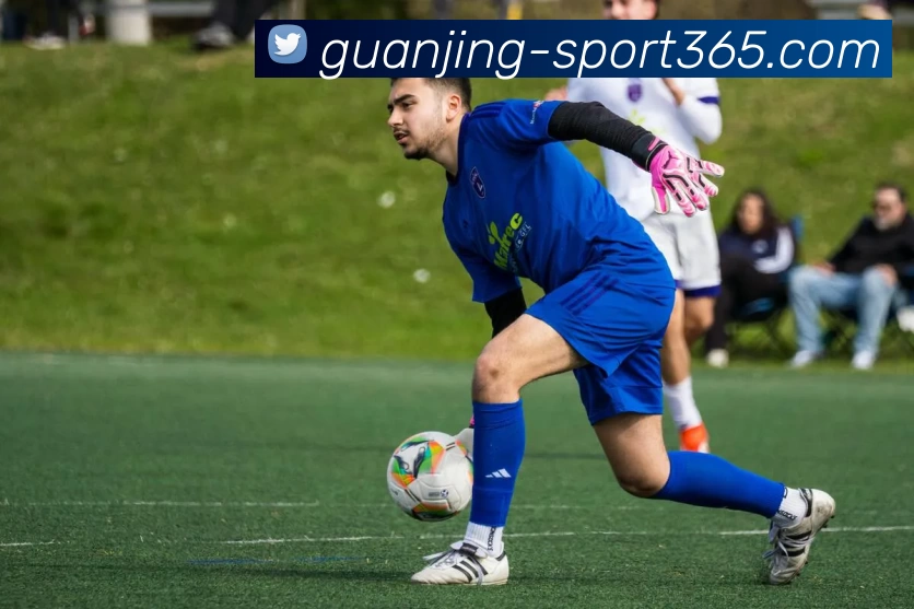 冠竞体育平台平台生态图